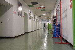 DSCN2781