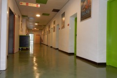 DSCN2782