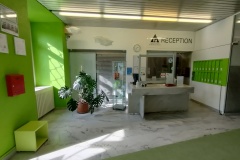 IMG20230306143812